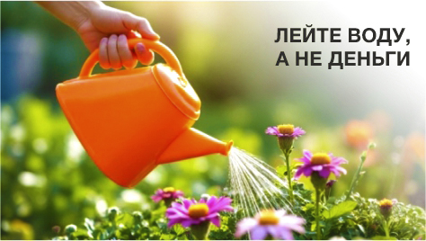 Лейте воду, а не деньги