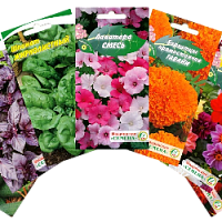 Семена цветов