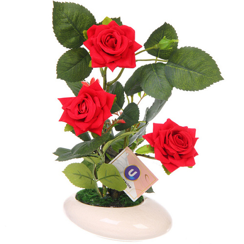Цветочная композиция Розовый восторг 25см в горшке, цвет красный_4