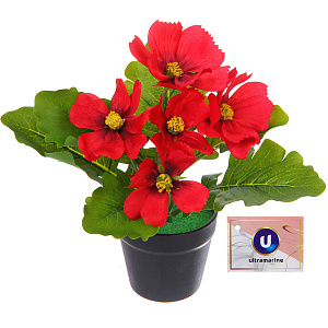 Цветочная композиция "Поцелуй лета" Космея красная 20см