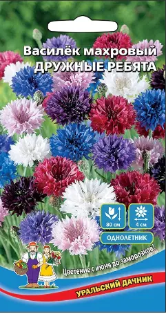 Семена Василек Дружные ребята махровый 0,2гр (УД) Е/П