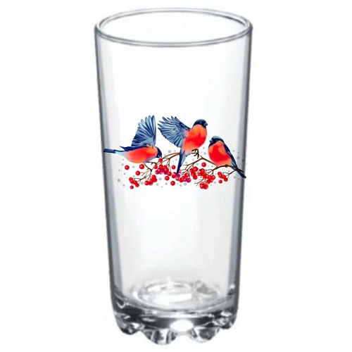 Стакан стеклянный 280мл "Снегири" D848/24