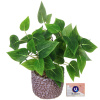 Цветок искусственный в горшке "Хоста" 26см