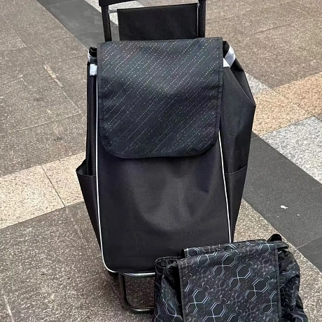 Тележка хозяйственная с сумкой (96*26*36см, колеса 15.5см,груз. до 30 кг.) цепь DC307GG