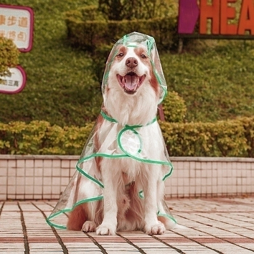 Дождевик для крупных пород собак KOMFORT, прозрачный, р 6XL_14