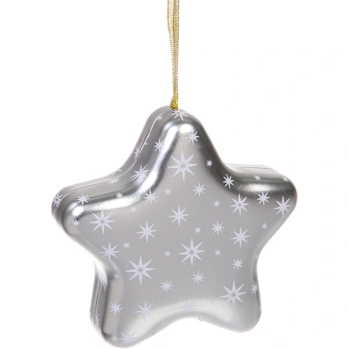 Банка жестяная Звезда 12,64,8см, цвет серебро_3