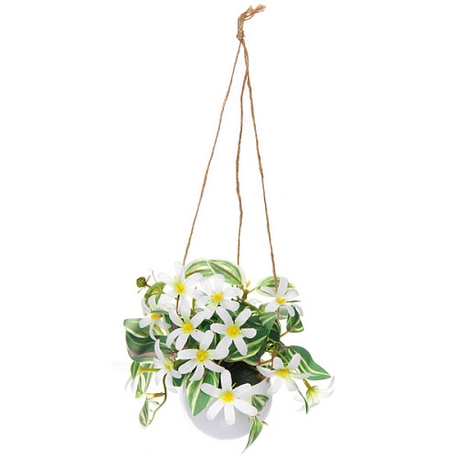 Цветочная композиция Верона 16см подвесная в горшке, белые цветы_3