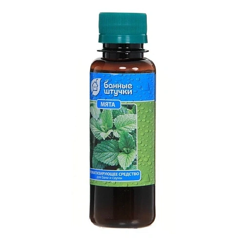 Ароматизатор 100мл Мята 30034_1