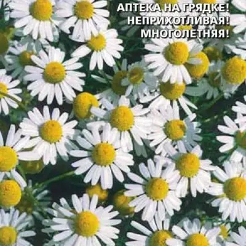 Семена Ромашка Айболит аптечная 0,05гр (УД) Е/П