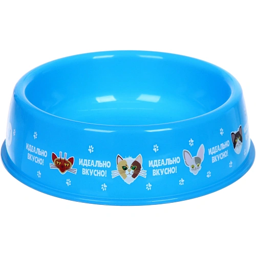 Миска пластиковая "МОЙ БРО - Идеально вкусно!, цвет небесно- синий  21*6,5см (логотип на миске) 700мл