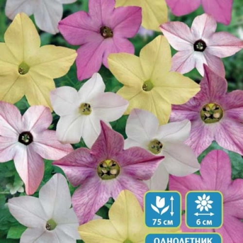 Семена Табак душистый Гипноз 0,05гр (УД) Е/П