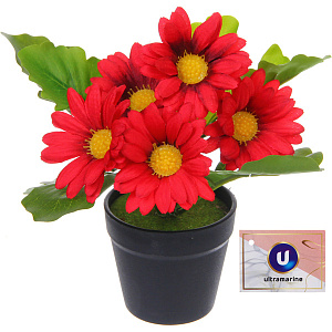 Цветочная композиция "Поцелуй лета" Хризантема красная 20см