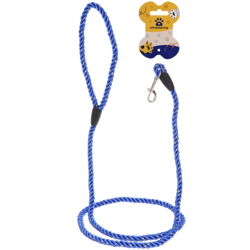 Поводок нейлоновый с карабином  "Бро на прогулке", цвет синий, 1.3метра 