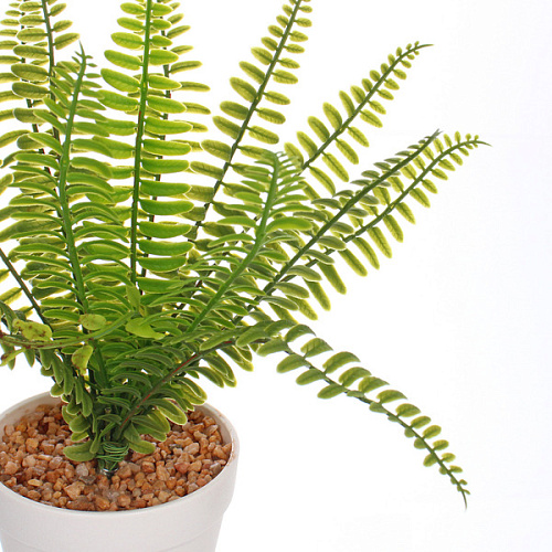 Цветок искусственный в горшке Папоротник 27см_3