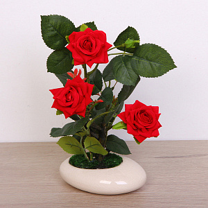 Цветочная композиция "Розовый восторг" 25см в горшке, цвет красный