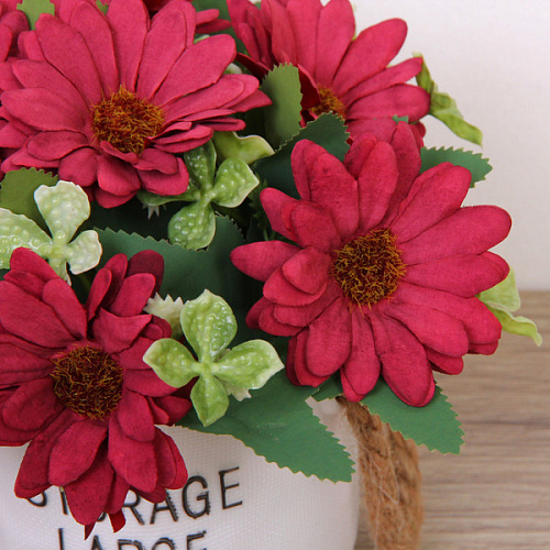 Цветочная композиция Мечта 1020см Ромашки бордовые_7