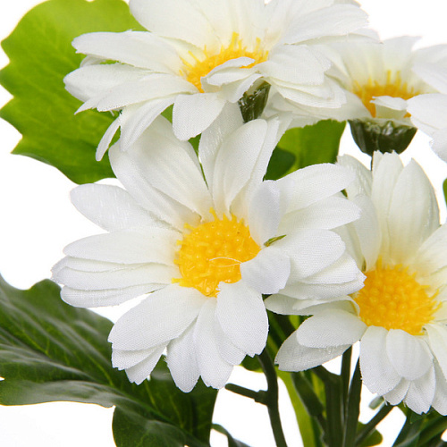 Цветочная композиция Поцелуй лета Хризантема белая 20см_3
