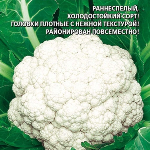 Семена Капуста цветная Отечественная 0,25гр (УД) Е/П