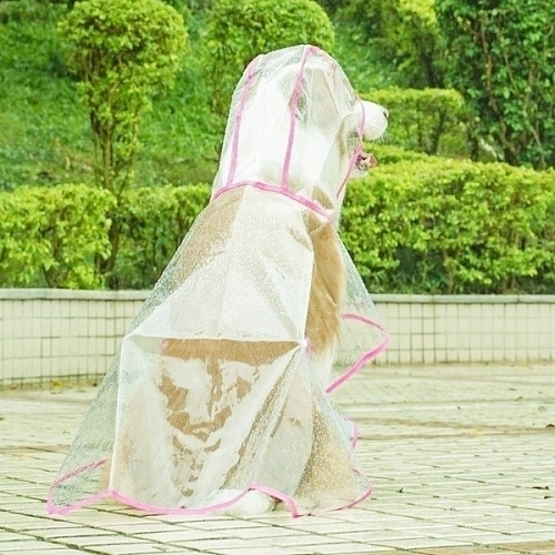 Дождевик для крупных пород собак KOMFORT, прозрачный, р XL_12