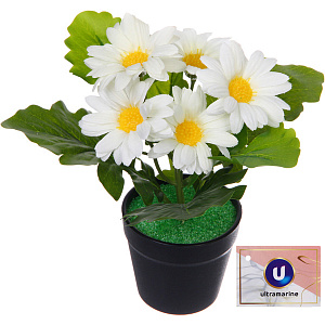 Цветочная композиция "Поцелуй лета" Хризантема белая 20см