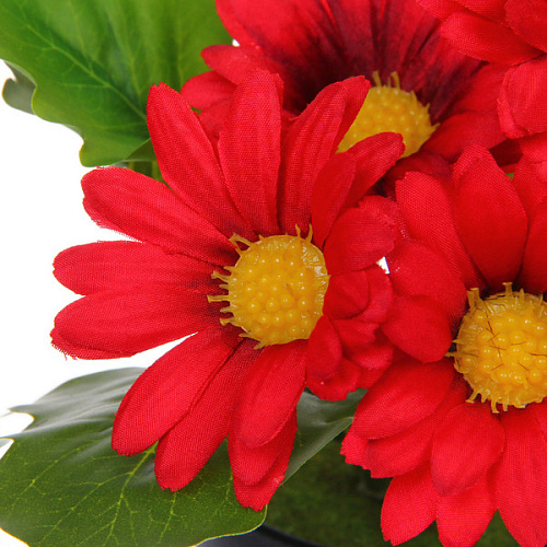 Цветочная композиция Поцелуй лета Хризантема красная 20см_3