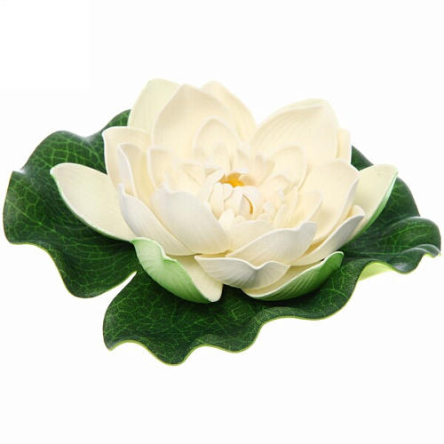 Растение водоплавающее "Кувшинка Розитта" d-17см белая